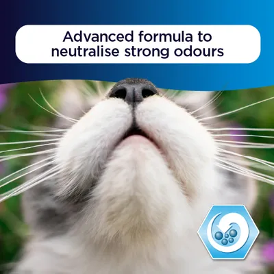 Ever Clean® Senior Cat Clumping Cat Litter - Scented