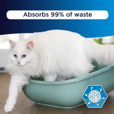 Ever Clean® Total Cover Clumping Cat Litter - Unscented