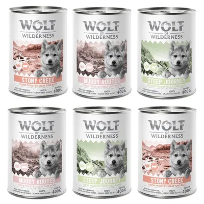 6 boîtes Wolf of Wilderness 400g : Stony Creek, Muddy Routes, Steep Journey. Textes visibles : fresh poultry meat and beef/ pork/ lamb, junior, 100 %, recette sans céréales.