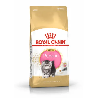 Zak Royal Canin Kitten Persian kattenvoer, afbeelding van een Perzische kitten, tekst: 'Healthy growth & long hair, unique kibble', Feline Breed Nutrition.