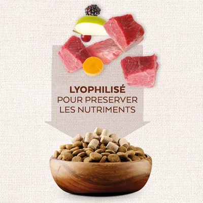 Morceaux de viande, fruits et légumes au-dessus d'une gamelle de croquettes. Texte : Lyophilisé pour préserver les nutriments.