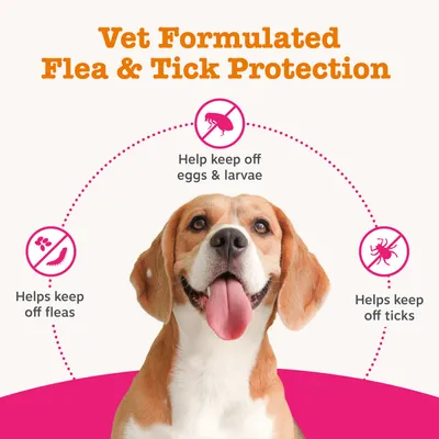Zesty Paws Flea & Tick Spray - 250ml Zesty Paws Flea & Tick Spray - 250ml