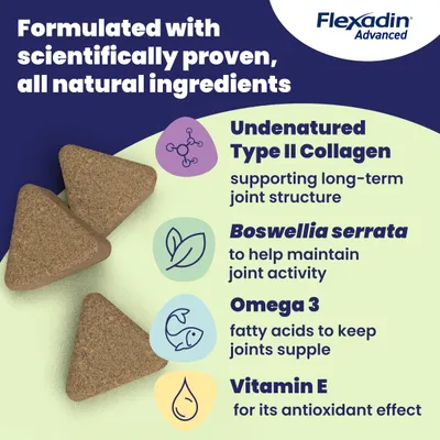 Flexadin Advanced Joint Care Supplement for Dogs - 30 Chews