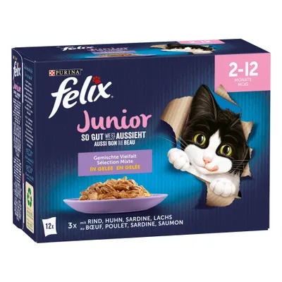 Boîte Purina Felix Junior 2–12 mois, sélection mixte en gelée : bœuf, poulet, sardine, saumon. Texte visible : aussi bon que beau, 12x portions, image d’un chat et d’une assiette.