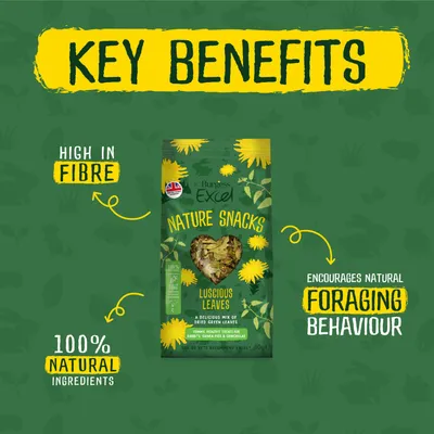 Burgess Excel Nature Snacks Luscious Leaves - 60g
