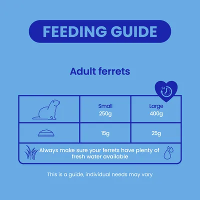 Burgess Excel Ferret Nuggets - Economy Pack: 2 x 2kg Burgess Excel Ferret Nuggets - Economy Pack: 2 x 2kg