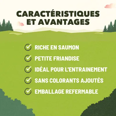 Texte : Caractéristiques et avantages. Riche en saumon, petite friandise, idéal pour l'entraînement, sans colorants ajoutés, emballage refermable.