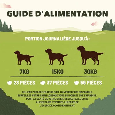 Guide d’alimentation : portion journalière jusqu’à 7 kg 23 pièces, 15 kg 37 pièces, 30 kg 59 pièces. Conseils : eau potable fraîche, surveiller le chien, respecter le guide alimentaire.