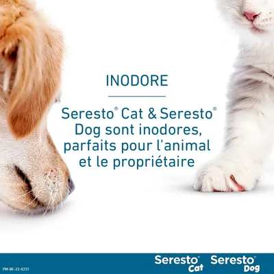 Collier antiparasitaire Seresto® pour petit chien (≤ 8 kg)