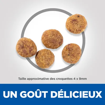 Croquettes rondes, taille approximative indiquée : 4 x 9 mm. Texte visible : UN GOÛT DÉLICIEUX.