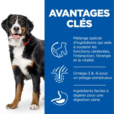 AVANTAGES CLÉS : mélange spécial d’ingrédients pour fonctions cérébrales, interaction, énergie, vitalité ; oméga-3 et -6 pour pelage ; ingrédients faciles à digérer pour digestion saine.
