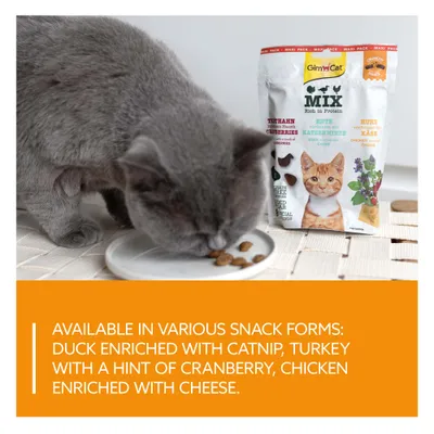 Macska nassol falatokat egy tányérról, mellette GimCat MIX snackcsomag különböző ízekkel: kacsa macskamentával, pulyka áfonyával, csirke sajttal. Szöveg: Különböző snackformák kaphatók.