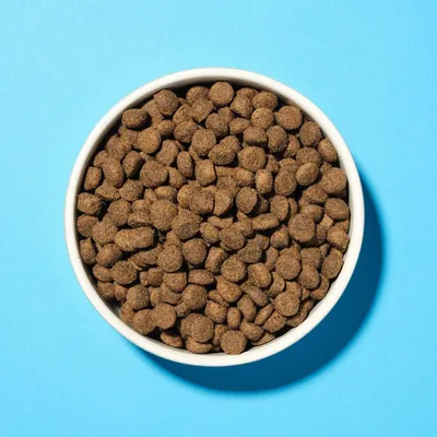 Bowl filled with dry brown kibble pieces, shown from above to display the size and shape of the food.