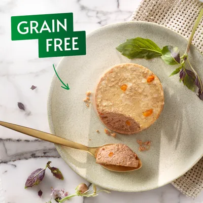 Round portion of wet pet food with visible orange pieces on a plate, gold spoon with food, basil leaves. Text: GRAIN FREE.