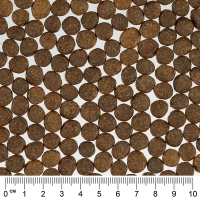 Nærbillede af brune, runde tørfoderstykker med centimetermål forneden til størrelsesbestemmelse.