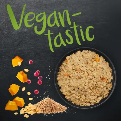 Vegantastic. Sestavine: koščki buče, brusnice, sojina zrna in žita poleg sklede z vegansko hrano.