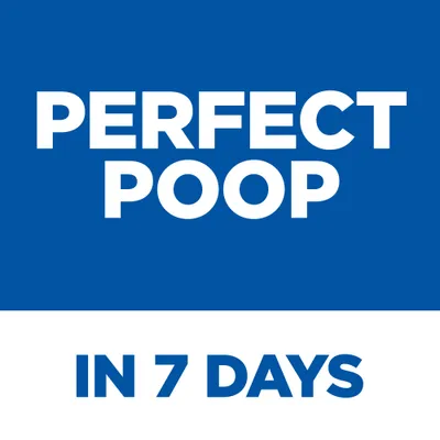 PERFECT POOP IN 7 DAYS (tekst na engleskom jeziku)