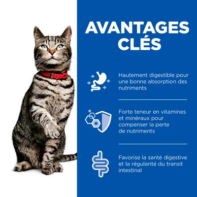 AVANTAGES CLÉS : Hautement digestible pour une bonne absorption des nutriments, forte teneur en vitamines et minéraux, favorise la santé digestive et la régularité du transit intestinal.