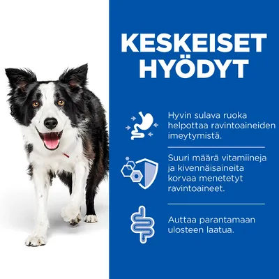 Kuvassa koira ja teksti: Keskeiset hyödyt. Hyvin sulava ruoka helpottaa ravintoaineiden imeytymistä. Suuri määrä vitamiineja ja kivennäisaineita korvaa menetetyt ravintoaineet. Auttaa parantamaan ulosteen laatua.