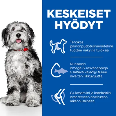 KESKEISET HYÖDYT: Tehokas painonpudotusmenetelmä tuottaa näkyviä tuloksia. Runsaasti omega-3-rasvahappoja sisältävä kalaöljy tukee nivelten liikkuvuutta. Glukosamiini ja kondroitiini ovat terveen nivelruston rakennusaineita.