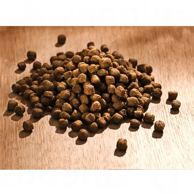 Croquetas de pienso seco para mascotas, color marrón, presentadas en un montón sobre superficie de madera. No se muestra marca ni información adicional visible.