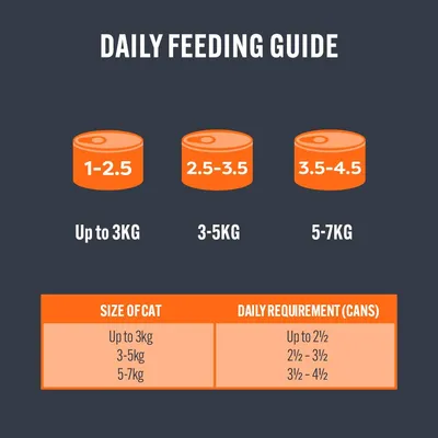 HiLife Cat Luxury Selection 12 x 70g HiLife Cat Luxury Selection 12 x 70g