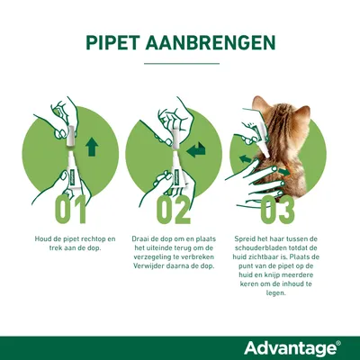 Advantage pipet aanbrengen: 1. Pipet rechtop houden en dop trekken. 2. Dop omdraaien, verzegeling breken, dop verwijderen. 3. Haar kat spreiden, pipet op huid tussen schouderbladen legen.