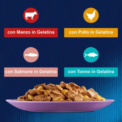 Ciotola con bocconcini in gelatina e testo: con Manzo in Gelatina, con Pollo in Gelatina, con Salmone in Gelatina, con Tonno in Gelatina.