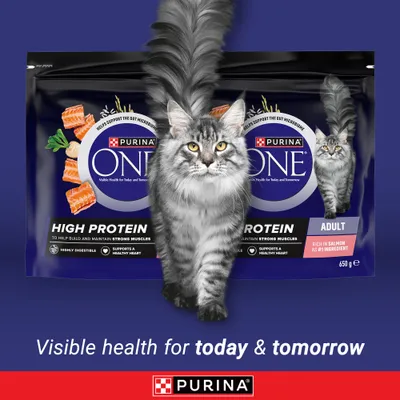 PURINA ONE High Protein Rich in Salmon - 650g PURINA ONE High Protein Rich in Salmon - 650g
