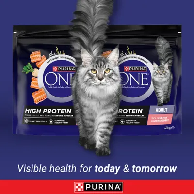 PURINA ONE High Protein Adult, rich in salmon as the main ingredient, supports healthy muscles and heart, 650g. Visible health for today and tomorrow. PURINA ONE High Protein Adult, rich in salmon as the main ingredient, supports healthy muscles and heart, 650g. Visible health for today and tomorrow.