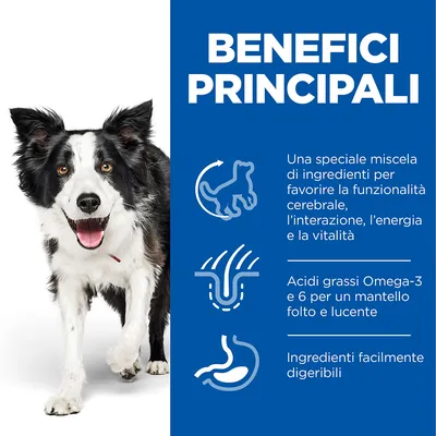 BENEFICI PRINCIPALI: speciale miscela di ingredienti per funzionalità cerebrale, interazione, energia e vitalità; acidi grassi Omega-3 e 6; ingredienti facilmente digeribili.