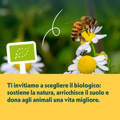 Logo bio UE. Testo: Vi invitiamo a scegliere il bio: sostiene la natura, arricchisce il suolo e offre agli animali una vita migliore. Logo bio UE. Testo: Vi invitiamo a scegliere il bio: sostiene la natura, arricchisce il suolo e offre agli animali una vita migliore.