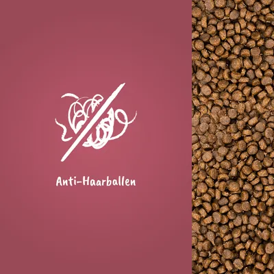 Texte en allemand : Anti-Haarballen, illustration d’un symbole barré et croquettes visibles à droite de l’image.