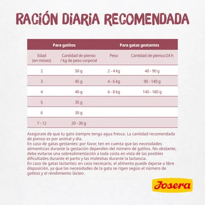 Tabla de ración diaria recomendada Josera: para gatitos según edad y peso, para gatas gestantes según peso. Incluye cantidades en gramos por día y consejos de alimentación.