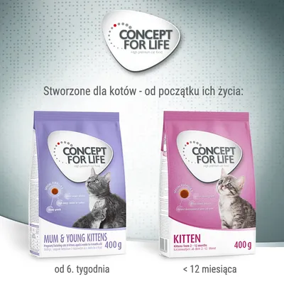 Dwie torby Concept for Life: Mum & Young Kittens 400 g (od 6. tygodnia) i Kitten 400 g (<12 miesiąca), karma dla kociąt. Widoczne koty na opakowaniach.