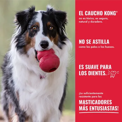KONG Classic rojo