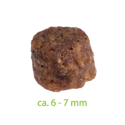 Smilla Kitten startovací balíček - 1 kg granule + 6 x 200 g kuřecí konzervy