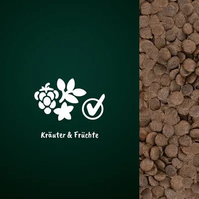 Kräuter & Früchte. Symbolische Darstellung von Beeren, Blättern und Sternblume mit Häkchen neben braunen Futterpellets.