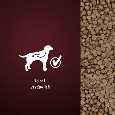 Grafik eines Hundes mit Verdauungssymbol und Häkchen. Text: leicht verdaulich. Rechts Abbildung von braunen Kroketten.