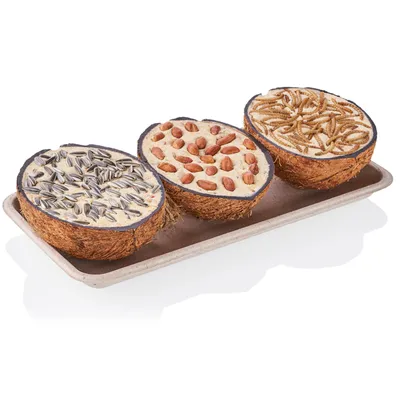 Three half coconut shells with fillings: sunflower seeds, peanuts and mealworms on a tray. Suitable as bird food.