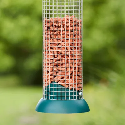 Futterspender aus Metallgitter, gefüllt mit roten Erdnüssen, geeignet für Vögel im Garten.
