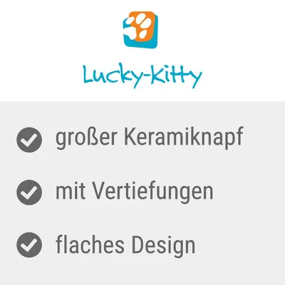 Lucky-Kitty. Grosser Keramiknapf, mit Vertiefungen, flaches Design.