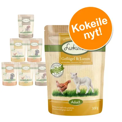 Lukullus Geflügel & Lamm Adult 300 g koiran märkäruokapussi, edessä oranssi ympyrä tekstillä 'Kokeile nyt!'. Taustalla muita Lukullus-makuja.