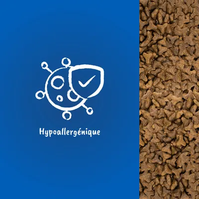 Texte « Hypoallergénique » avec un pictogramme de bouclier et croquettes visibles à droite de l’image.