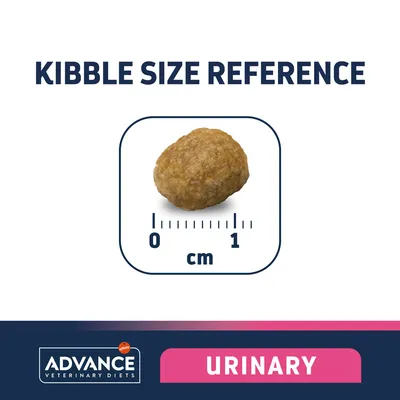 Kibble size reference showing one piece of Advance Veterinary Diets Urinary kibble with scale from 0 to 1 cm. Text: KIBBLE SIZE REFERENCE, ADVANCE VETERINARY DIETS, URINARY.