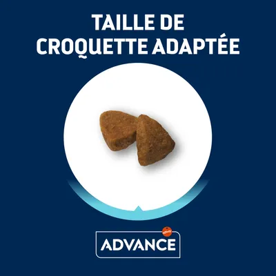 Taille de croquette adaptée, deux croquettes visibles au centre. Marque Advance affichée en bas de l’image.