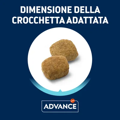 Due crocchette con testo: 'Dimensione della crocchetta adattata'. Marchio visibile: Advance affinity.