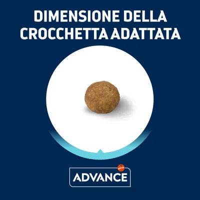 Dimensione della crocchetta adattata, una crocchetta visibile al centro. Marchio Advance in basso.