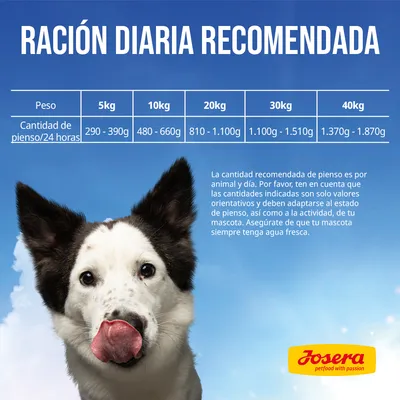 Tabla de ración diaria recomendada de pienso por peso: 5 kg 290–390 g, 10 kg 480–660 g, 20 kg 810–1.100 g, 30 kg 1.100–1.510 g, 40 kg 1.370–1.870 g. Marca Josera visible.