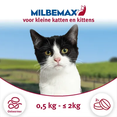 MILBEMAX voor kleine katten en kittens, ontwormer, 0,5 kg – ≤2 kg, 2x tabletten zichtbaar op afbeelding.